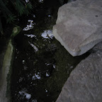 IMG_2755.JPG