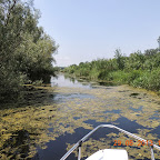 DSCN8308.JPG