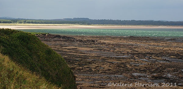[30-green-sea%255B2%255D.jpg]