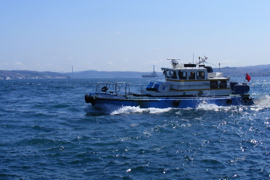 DSCF8326.JPG