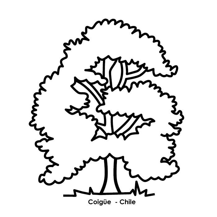 [Coig%25C3%25BCe%25201%255B2%255D.jpg]