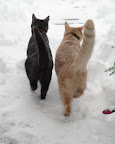 Companion animals model comradery and friendship... Companion animals model comradery and friendship...