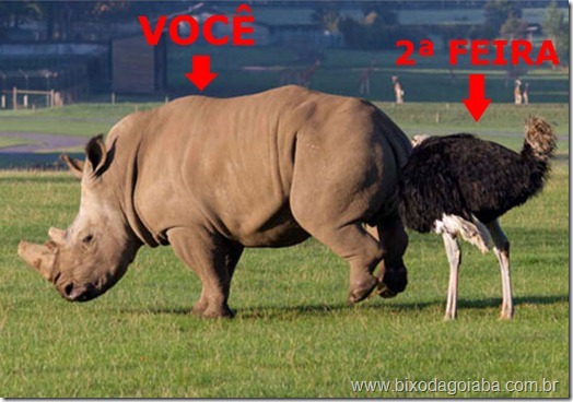 odeio-segunda-feira