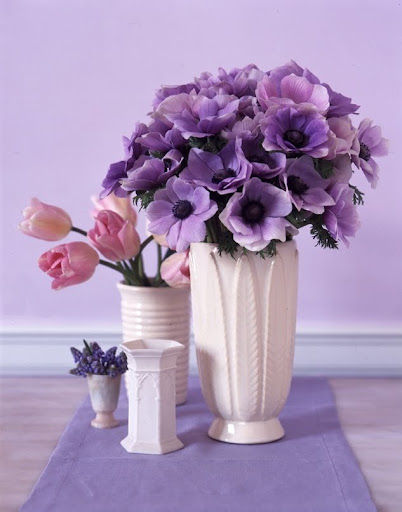 A selection of cylinder vases. (Martha Stewart Living)