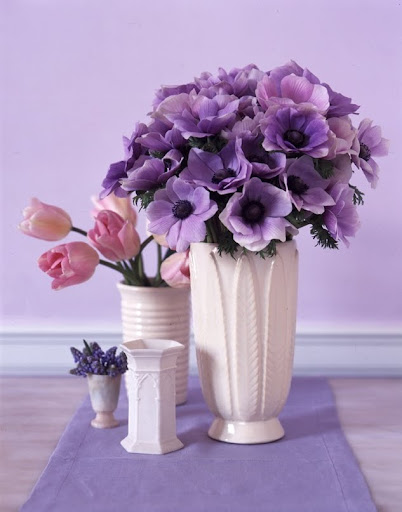 35 A selection of cylinder vases Martha Stewart Living 