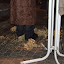 Jubileumfeest 30 jarig bestaan 2010