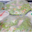 TYF-Summit-2011-120.jpg
