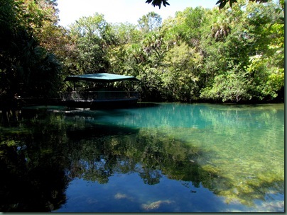 Homosassa Springs