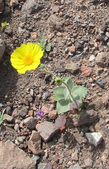 IMG_2953 IMG_2953