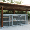 2010 (20).JPG