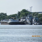 IMG_9648.JPG