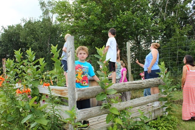 IMG_1475 IMG_1475