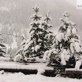 19.09.11 Wintereinbruch Südtirol - é arrivata la neve Trentino Alto Adige