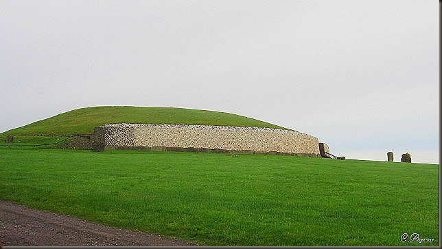 IMG_2303 IMG_2303