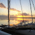 DSC01337.JPG