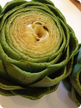 artichoke recipes artichoke recipes