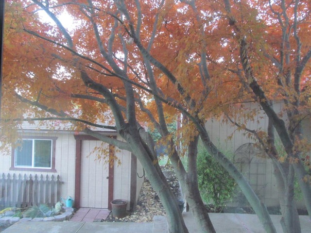 [IMG_1086%255B9%255D.jpg]