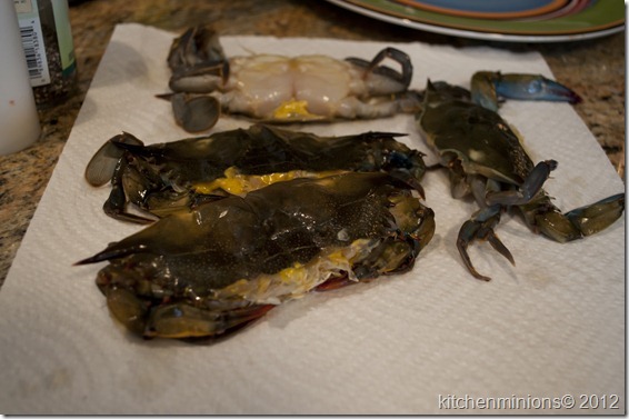 soft shell crabs2