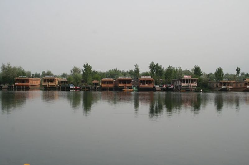 IMG_4819-Serene Kashmir.JPG