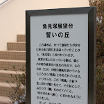 _DSC9525.jpg