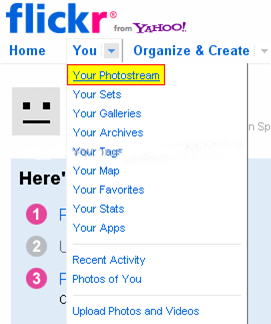 flickr photostream blogger 02