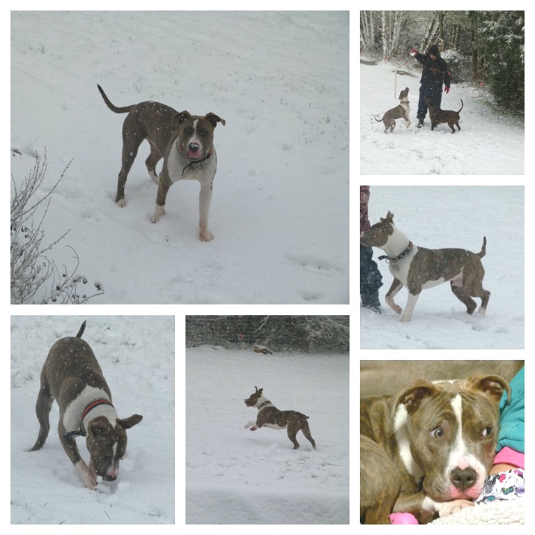 [prince%2520first%2520snow%255B3%255D.jpg]