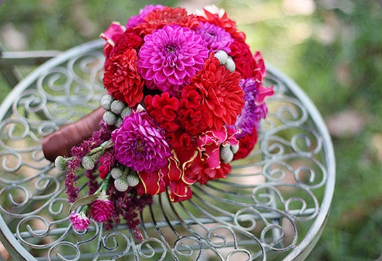 5557526846_aefb6d7fbf Jessica Ruisan photography and chenele rose 5557526846_aefb6d7fbf Jessica Ruisan photography and chenele rose