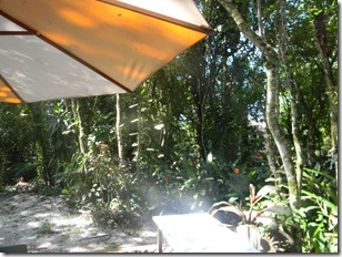 casa ilha 2012 003 casa ilha 2012 003