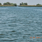 DSCN0212.JPG