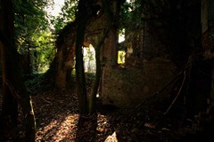 Nettleham-Hall-7