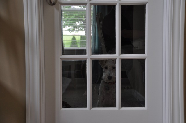 [016%255B3%255D.jpg]