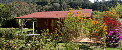 cabana-del-agustin-cerca-del-arroyo-de-avandaro-1.jpg