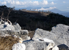 View to the S5/TK-009 Suhi vrh/Nanos