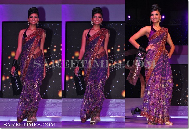 Designer_Embroidery_Sari