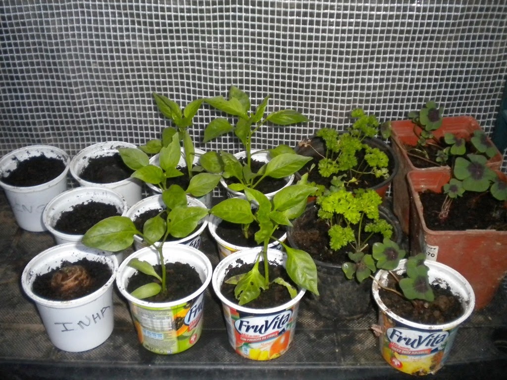 [DSCN7505%255B1%255D%255B1%255D.jpg]