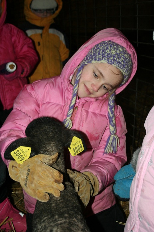 [Falkena%2527s%2520on%2520the%2520farm%2520021%255B3%255D.jpg]