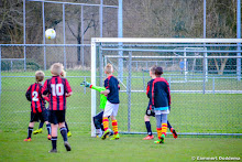 20150404 - WVV E2 - HSC E1 - 011.jpg