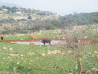 תחנה ראשונה - מצפור קרן נפתלי