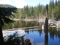 IMG_20110813_133657.jpg Photo