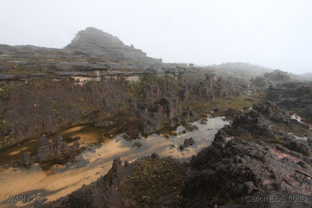 [IMG_2040%255B4%255D.jpg]