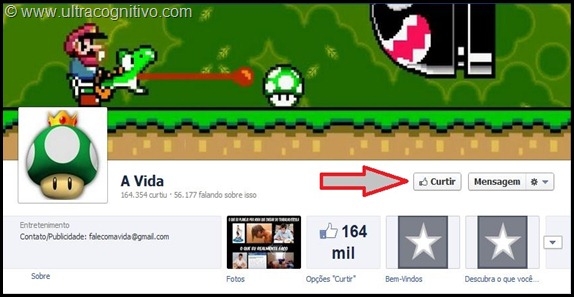 Vida_Curtir