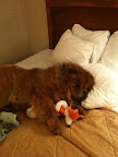 At the end of each show day, I was exhausted!  I was looking forward to getting back home for a while!