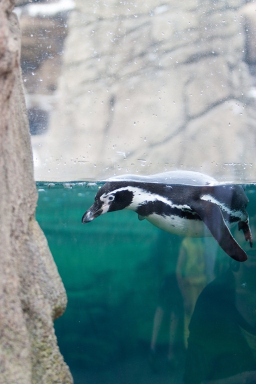 [20120818-IMG_91293.jpg]