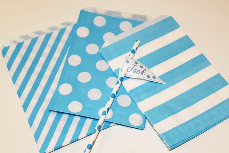 [E-Bag-Blue-Group-LARGE%255B18%255D.jpg]