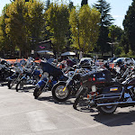 DSC_0229.JPG