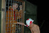  Zomerkamp 2010 Usselo