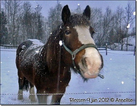 2012-blessen9jan_01