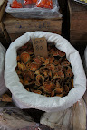 DSC00870.JPG
