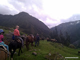 We cross farm animals everywhere, sheep, pigs, cows, horses, goats, dogs and chickens. We cross farm animals everywhere, sheep, pigs, cows, horses, goats, dogs and chickens.