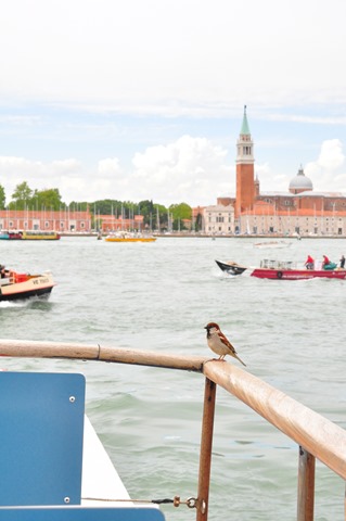 [DSC_0306%255B3%255D.jpg]